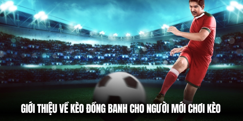 Kèo Đồng Banh Là Gì? Bí Quyết Soi Kèo 77Bet Chuẩn Xác 2 Giới thiệu kèo đồng banh